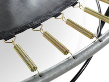 Load image into Gallery viewer, EXIT Elegant trampoline ø305cm with Economy safetynet
