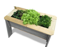 Load image into Gallery viewer, EXIT Aksent planter table XL, L, M